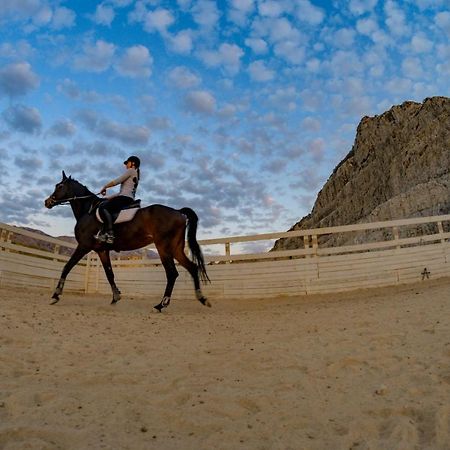 Villa Marietta Equino Sitno Donje المظهر الخارجي الصورة