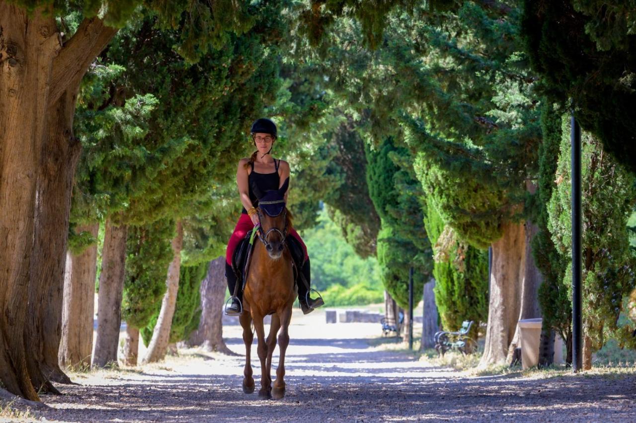 Villa Marietta Equino Sitno Donje المظهر الخارجي الصورة